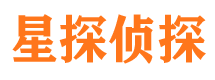 汉阳市侦探公司